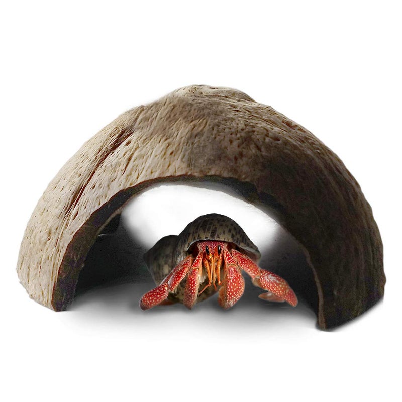 SunGrow Hermit Crab Huts, 5x3 Inches, Arthropod's Coconut Hide, Spacious Coco Tunnel, Use as Hermit Cave or Climber, 1-Pc - Image 1
